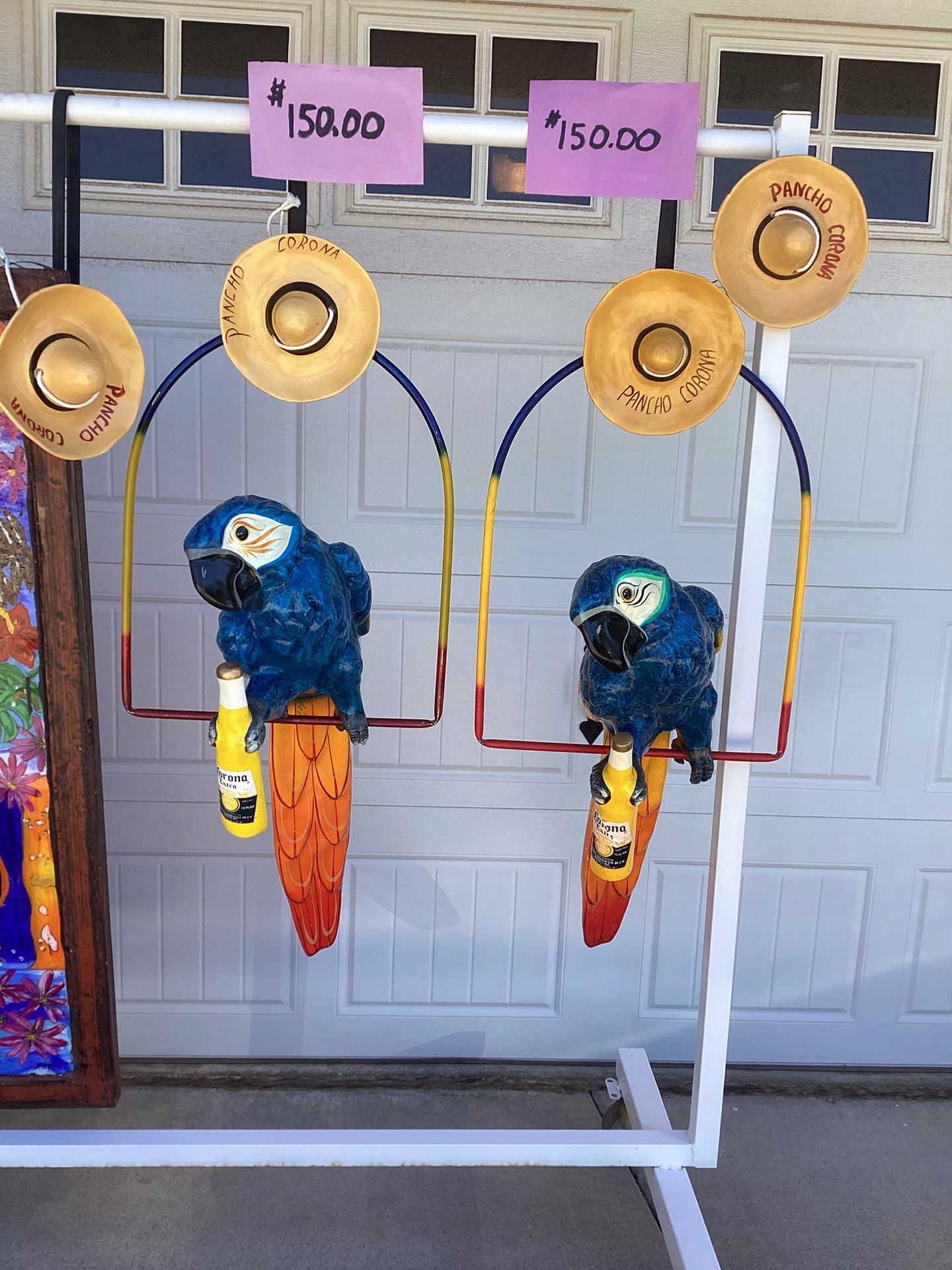 Rare Poncho Corona Parrot On A Perch