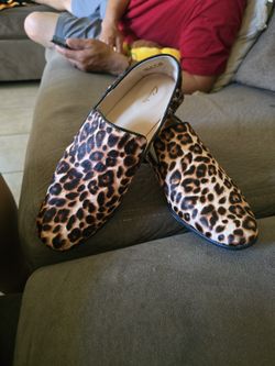 Clark Casual Shoe