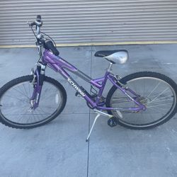 Schwinn Purple Mountain Bike
