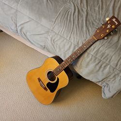 Ibanez Acoustic Guitar