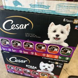 Cesar’s Dog Food 36 Count