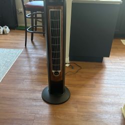 Tall Oscillating Fan