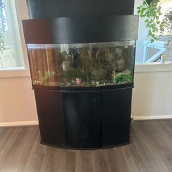 Fish Tank