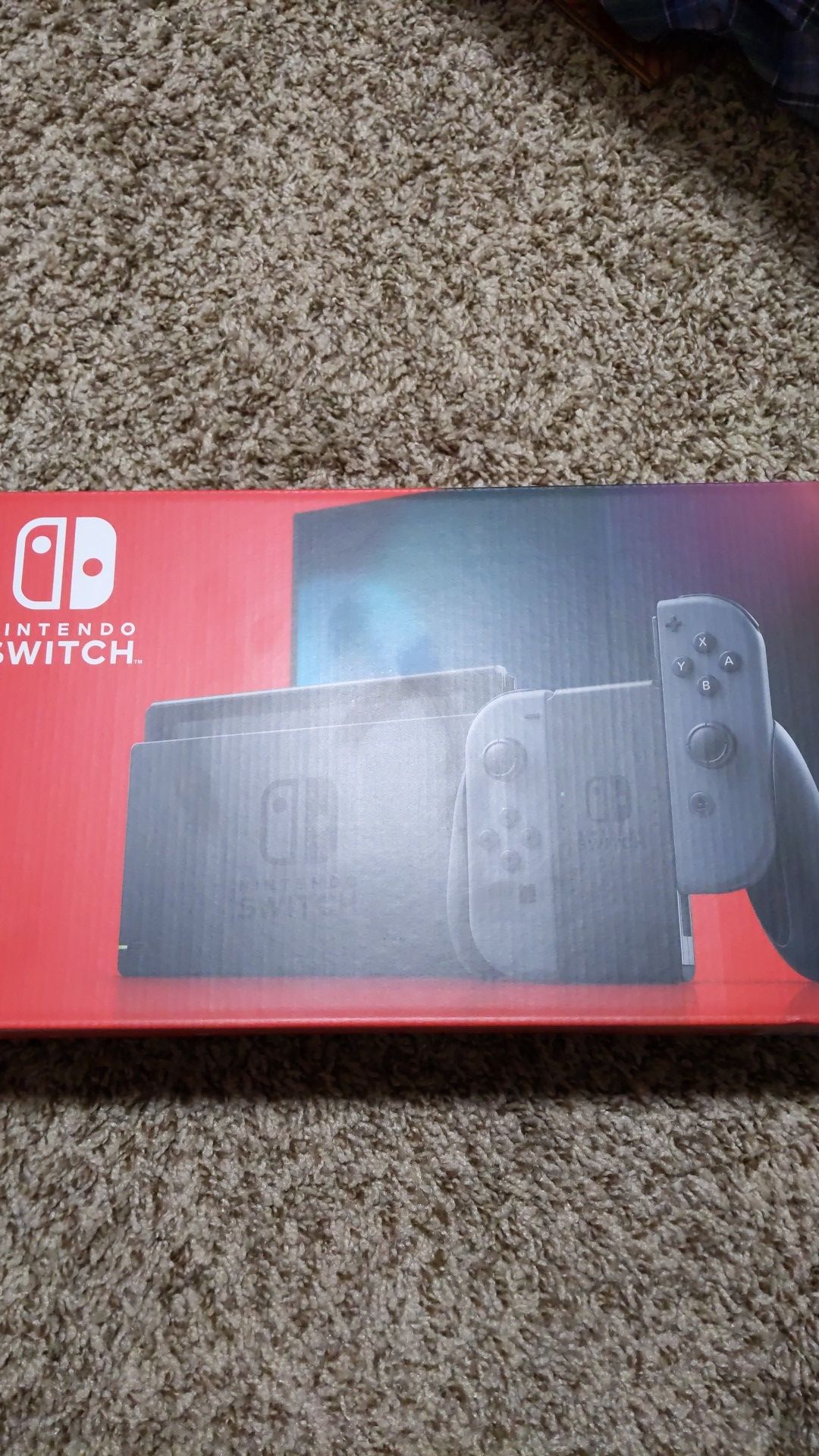 Nintendo switch gray