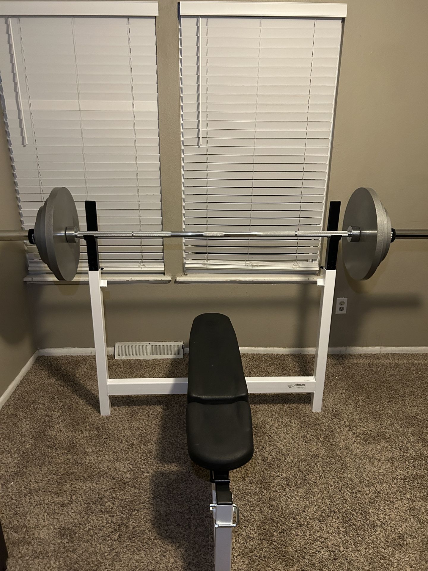 Weight Bench + Olympic Bar + Weight Plates (Excellent Condition!