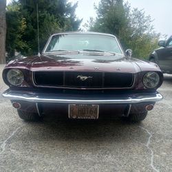 1964 Ford Mustang Coupe