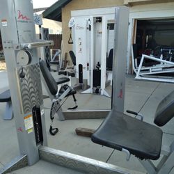 Free Motion Gym Seated Leg Curl Weight Machine 