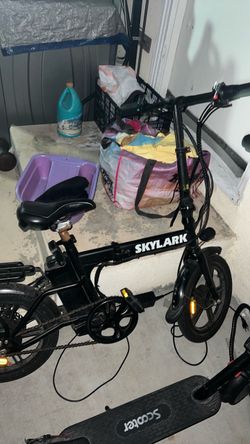 Skylark electric bike