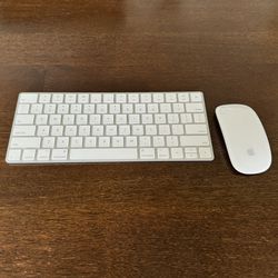 Apple Keyboard And Mouse (Bluetooth)
