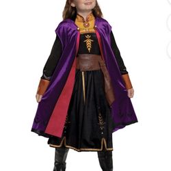 Costume Elsa 