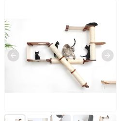 Catastrophic Creations Cat Wall