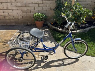 3 Wheel Bike