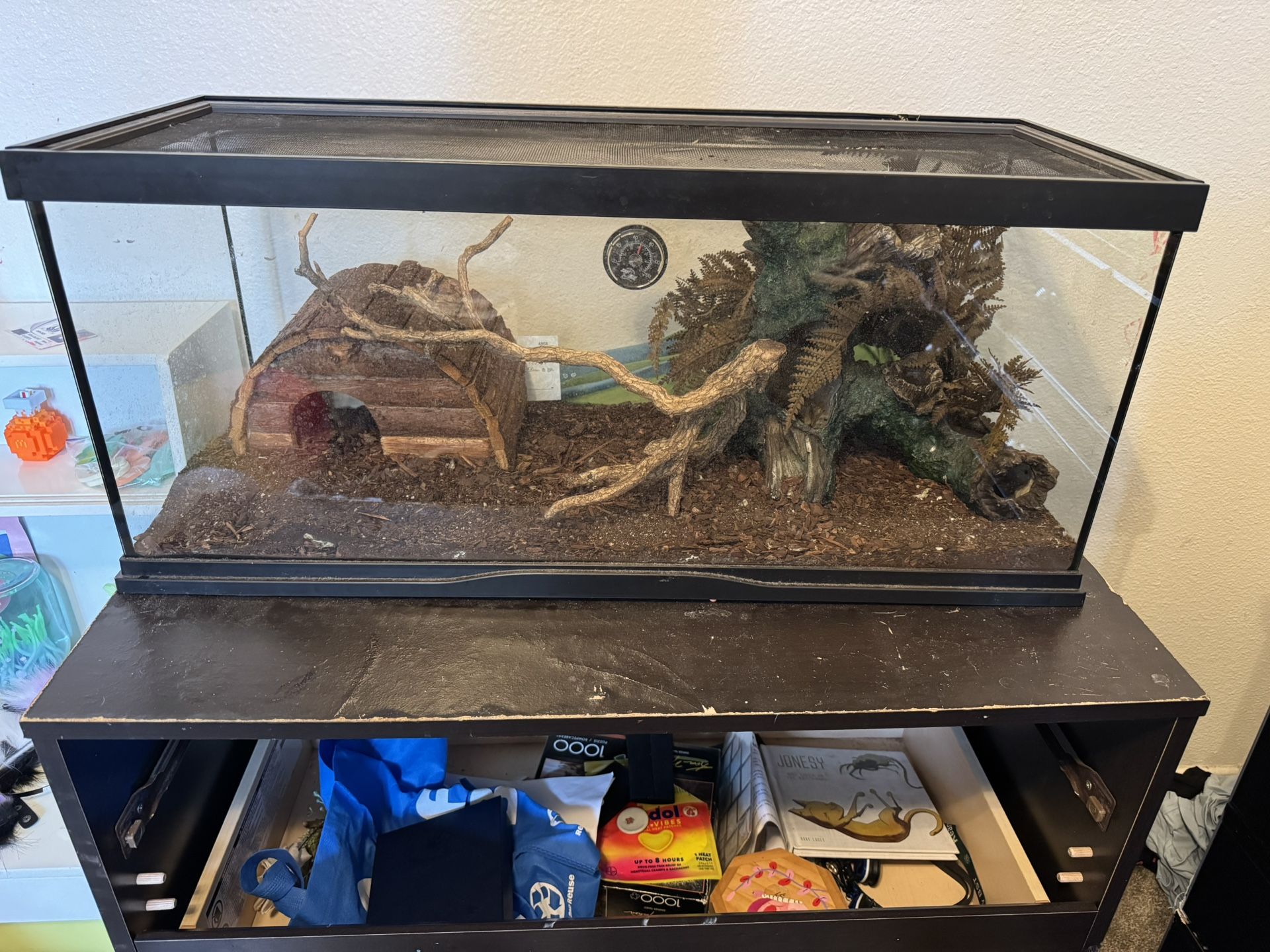 40 Gallon Tank