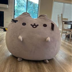 Pusheen 