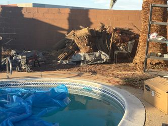 Free wood firewood from cypress tree and palm trees