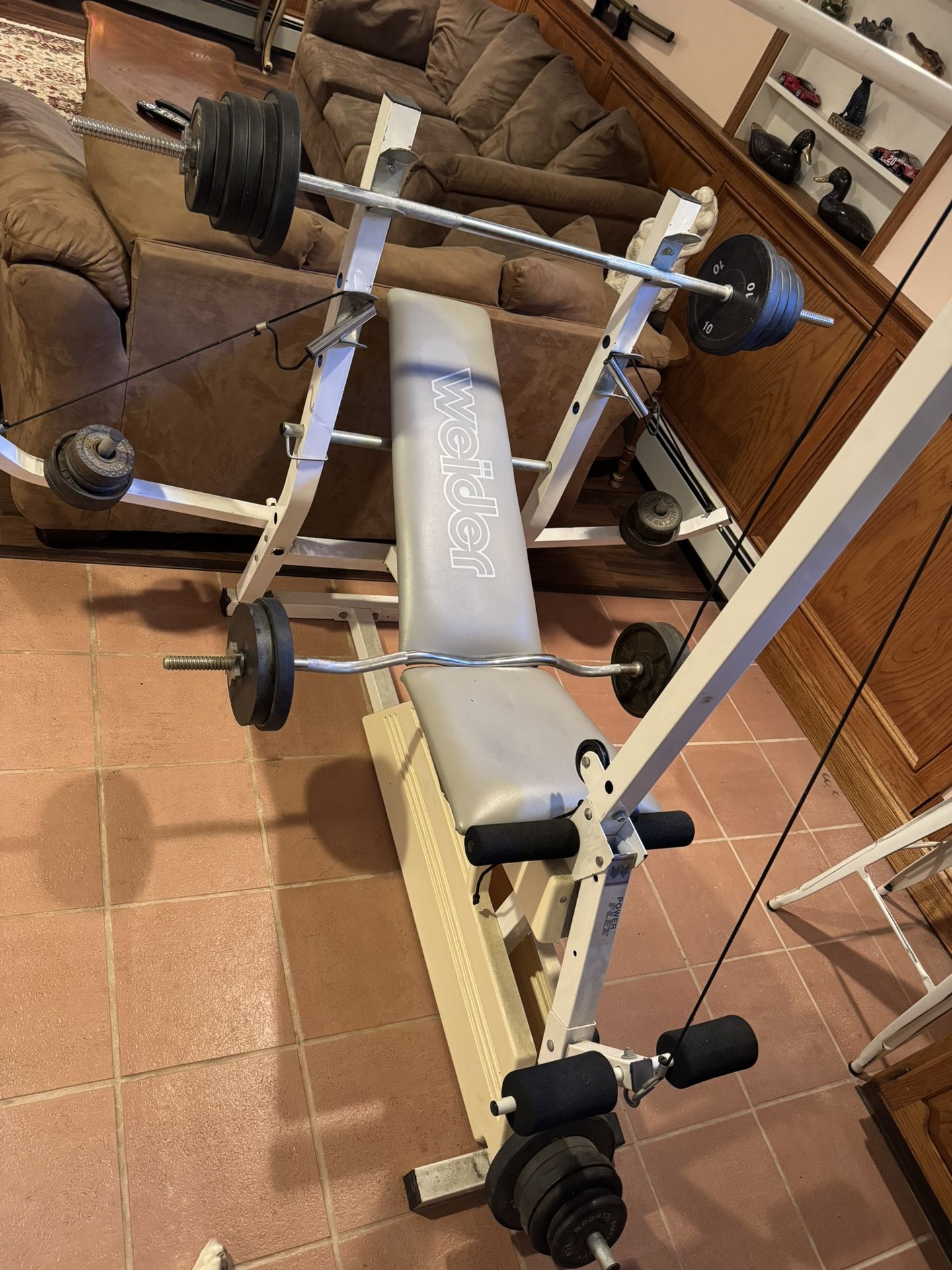 Gym  Equipment