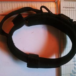 Tactical Collar Dog Adult.