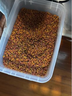 Cat food