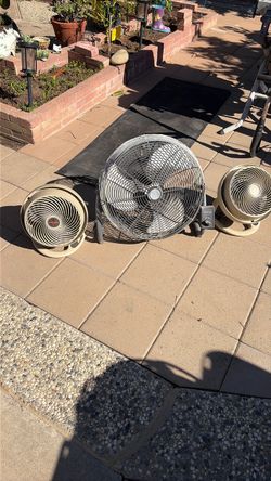 Circular electric fans