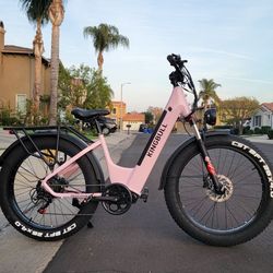 Step Thru Fat Tires Electric Bike 750w