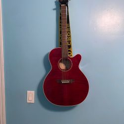 takamine g series