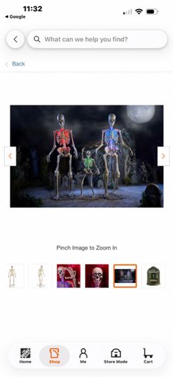 6.5 ft grave &bones
