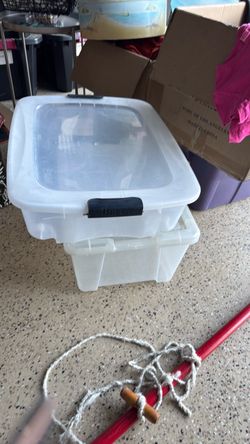 Containers with lids