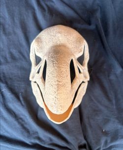 Costume Mask