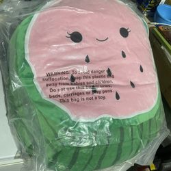 Large Coco Melon Pillow 