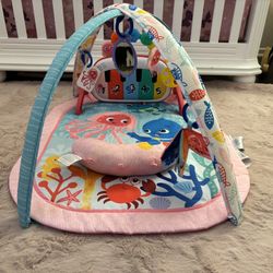 Baby Einstein Discovery Gym