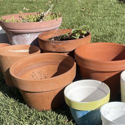 Plants And Pots (all For 20) 