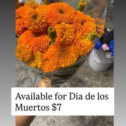 Marigold