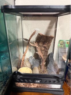 EXO Terra terrarium