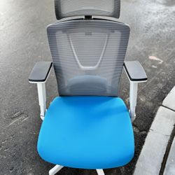Brand New Ergonomic Office Chair