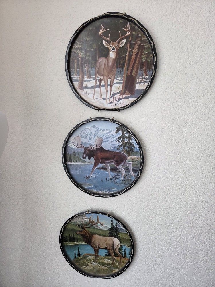 James Artic Platters