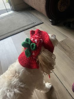 Strawberry Bucket Hat For Small Dog