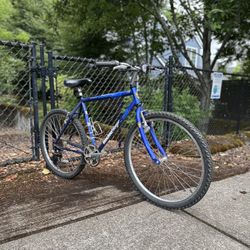 Men’s Mountain Bike