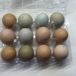 Eggs 