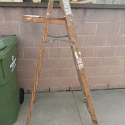 6ft Ladder