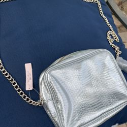 Victoria Secrets Silver Snake Skin Vintage Purse 