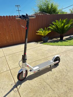 Max shot electric Scooter