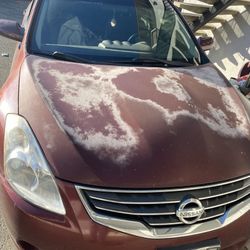 2010 Nissan Altima