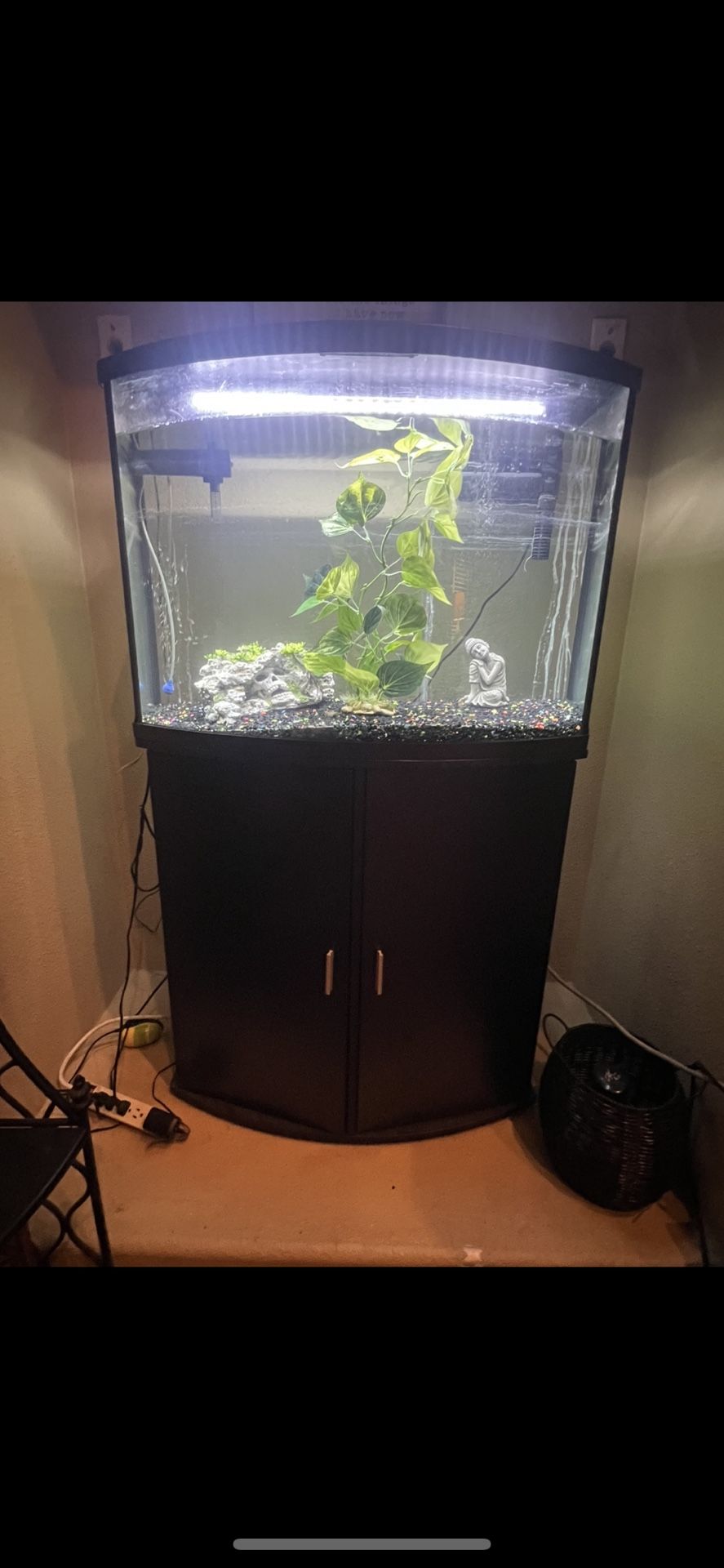 Fish Tank With Stand, Storage And Lightning