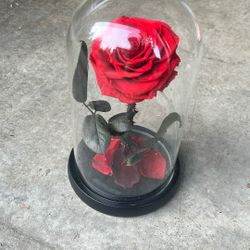 Eternal Rose - Hyper Realistic