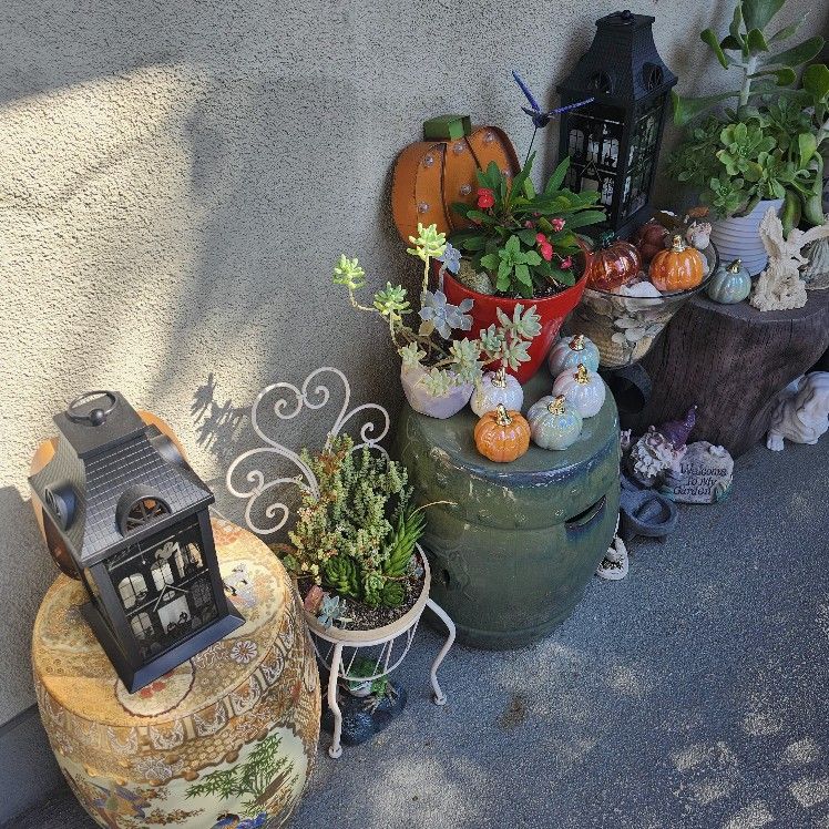 Big Plant Sale Starts Today All Weekend !!!! ☘️🍀💚🍀💚🍀🍀💚