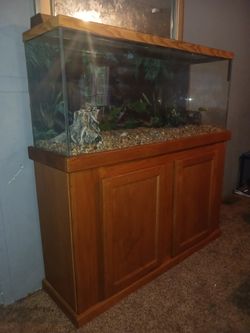 Fish,lizard Tank For Sale