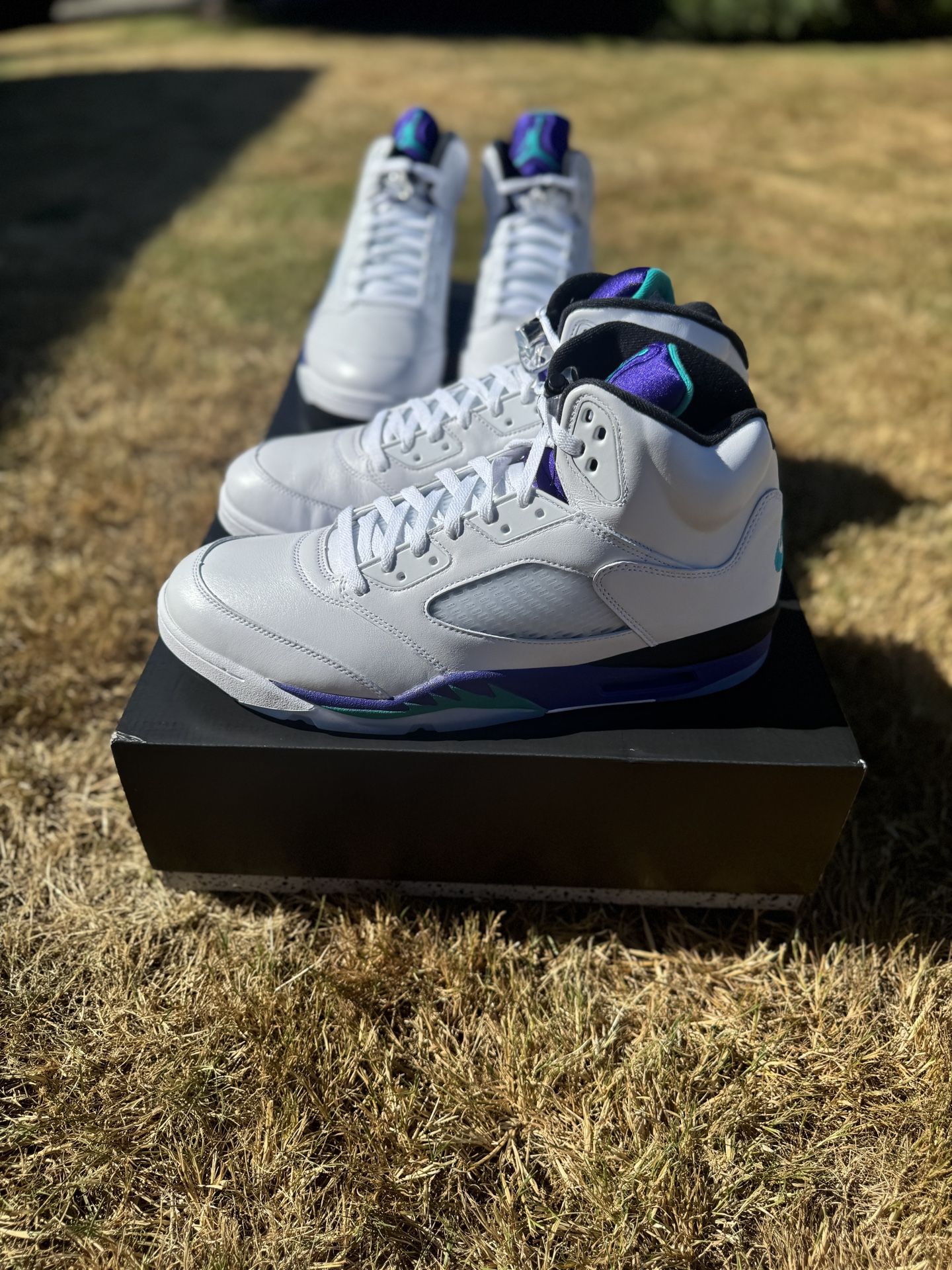 Jordan 5 Grapes