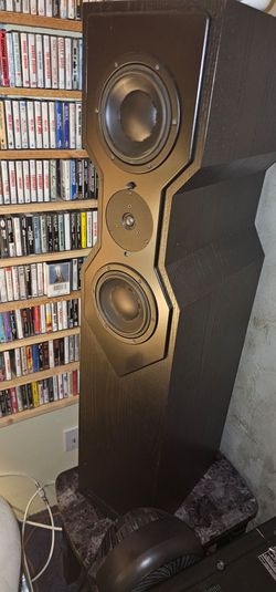 AWESOME! RARE! PARAGON ACOUSTICS REGENT AUDIOPHILE FLOORSTANDING SPEAKERS Daytona Beach