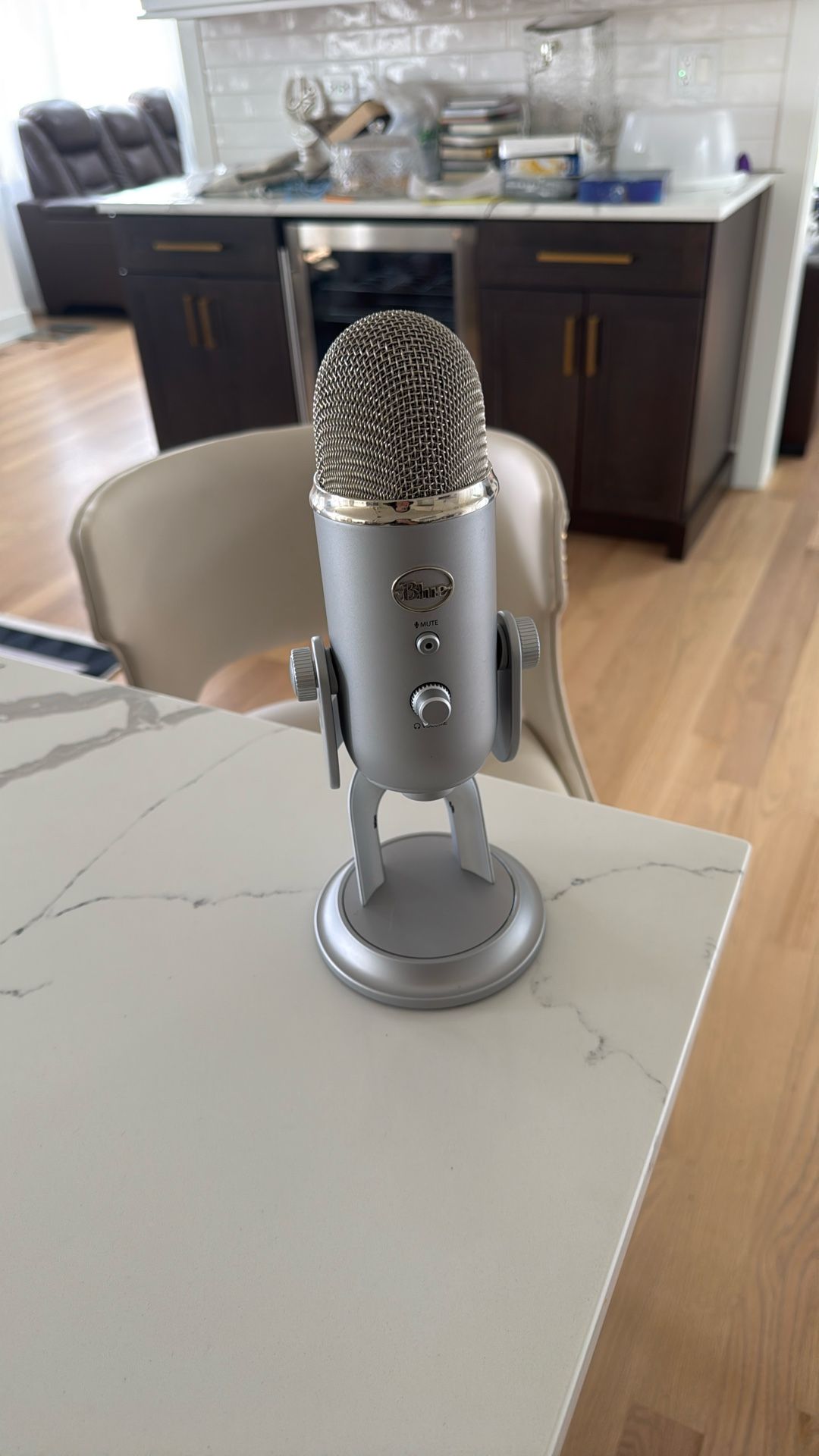 Asmr Microphone