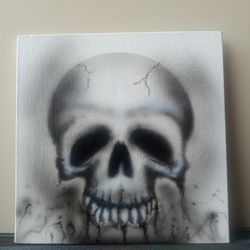 Custom Airbrushed Skull On Canvas